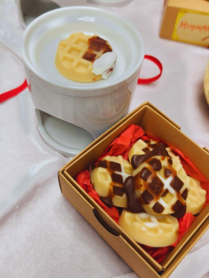 Σετ αρωματιστής με wax melt