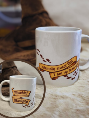 Κούπα Harry Potter I solemnly swear